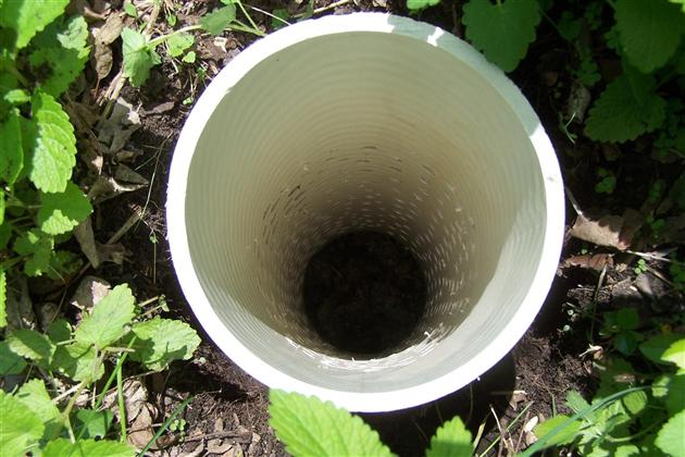 Worm Tower