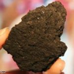 Biochar can be a byproduct of Wood Gasification