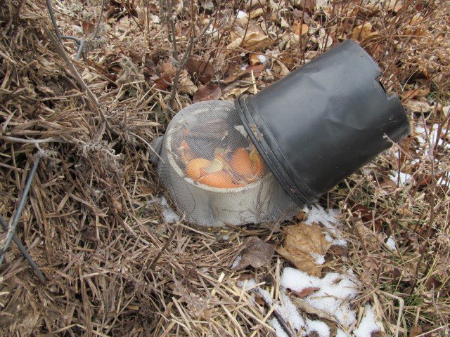 Worm Tower in Winter