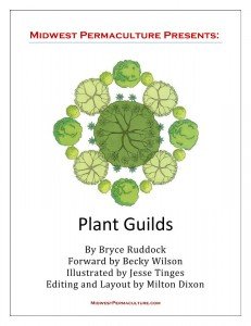 Plant Guilds eBook