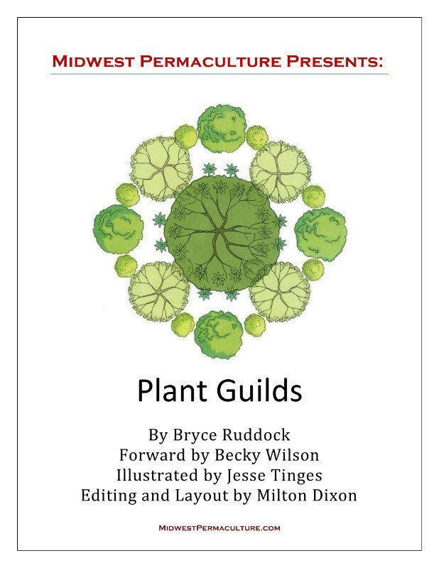 Plant Guilds eBook