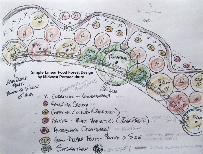 First Linear Food Forest CSC Design