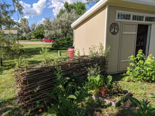 Man Weaves Whimsical Living Fence Out of Willow Branches