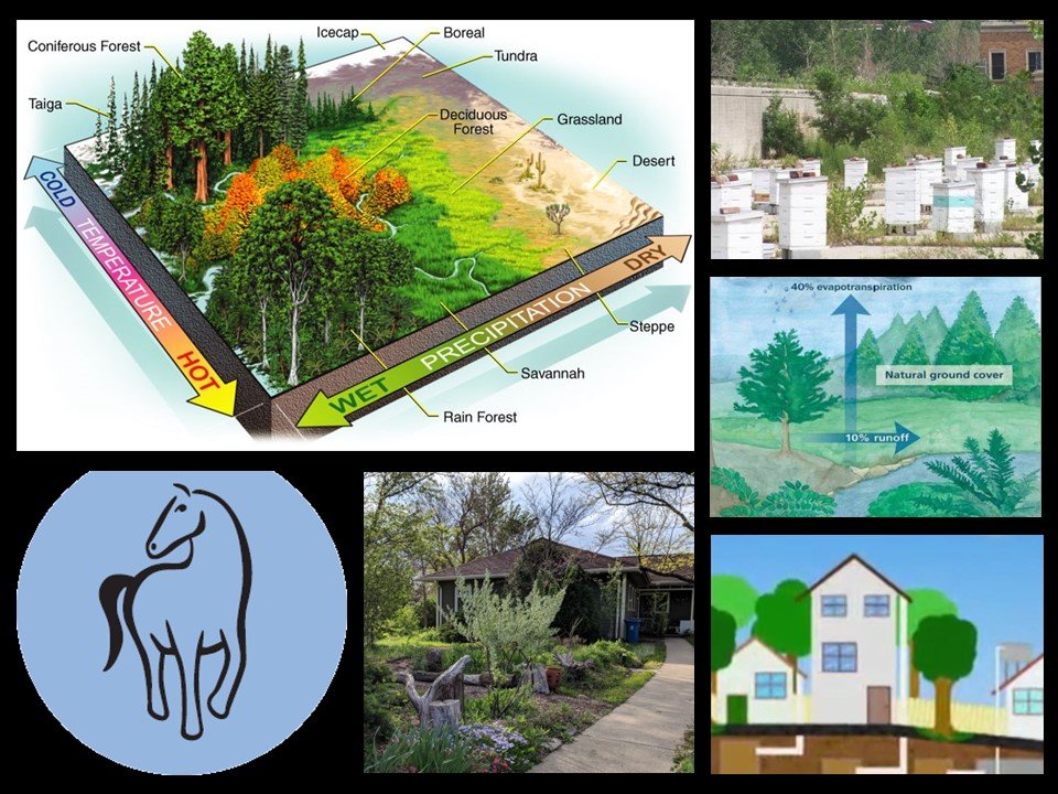 permaculture farm tour