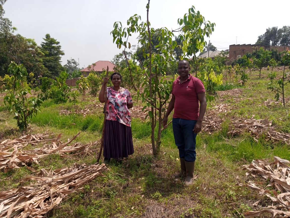 Isaac posing a cooperative member in front of a cinnamon tree