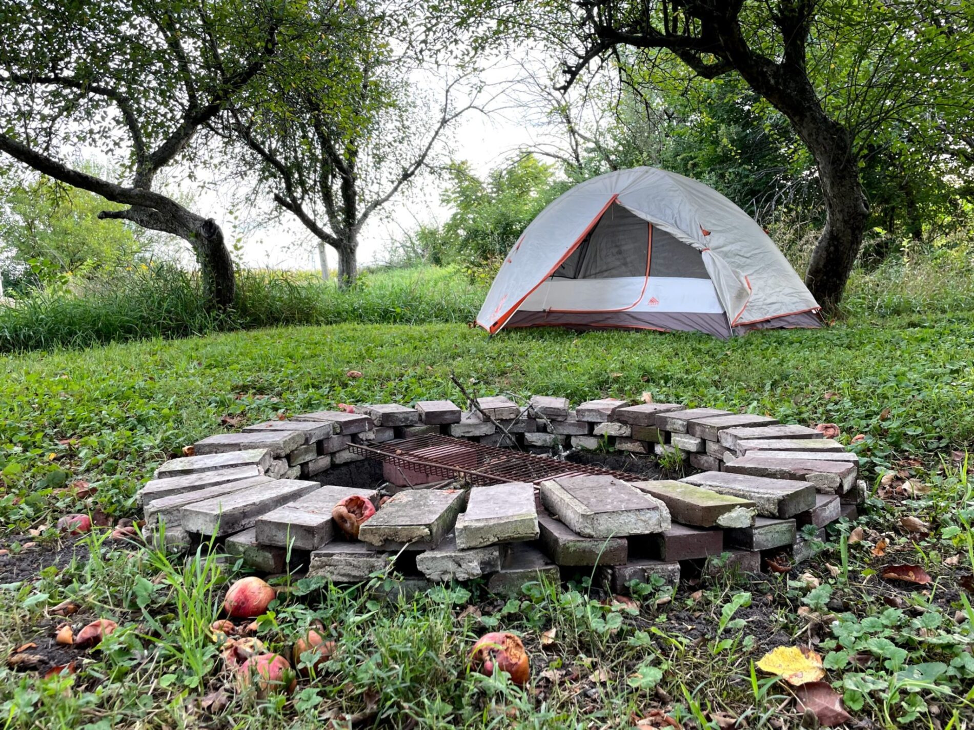 Camping site in the Stelle Orchard