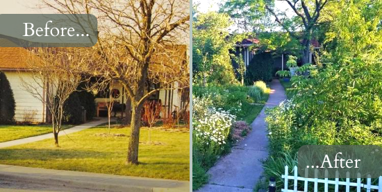 Before and after a permaculture design