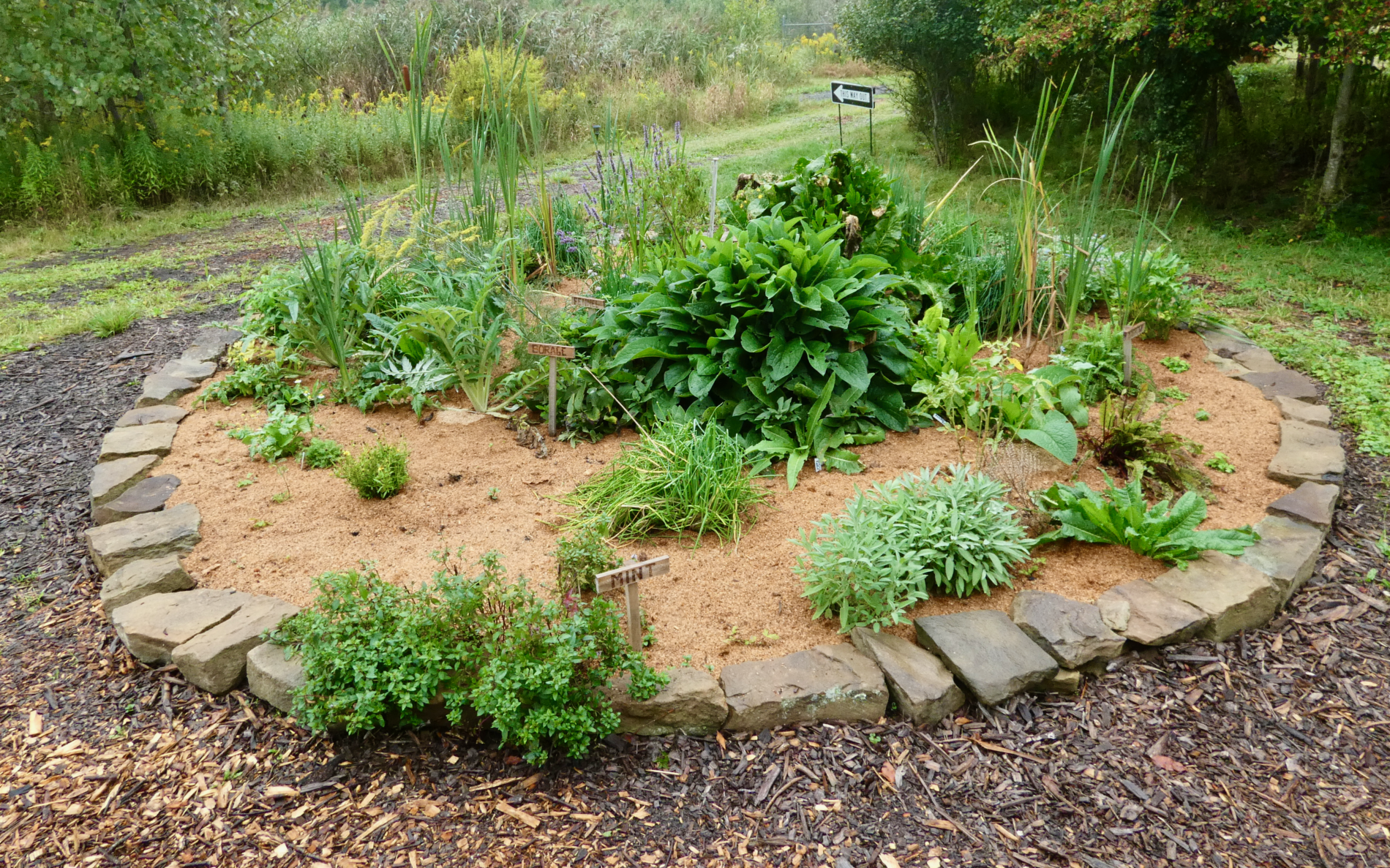 Plant Guild at Bending Oak