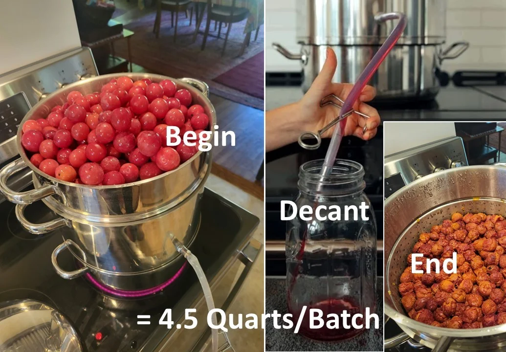 Plum Juicing Process