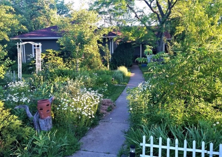 Home of Midwest Permaculture in 2017, lush and full of life!